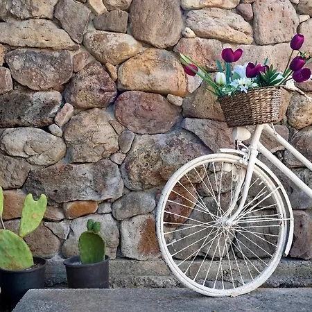 Lejlighed Lu Casal De Fio Alghero