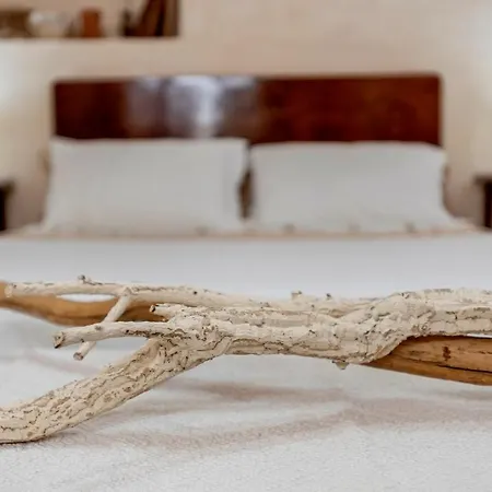 Lu Casal De Fio 아파트